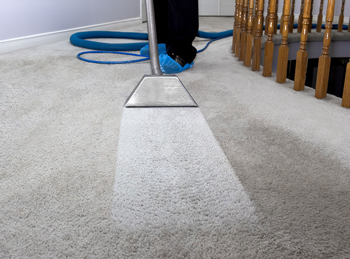 Carpet Cleaning